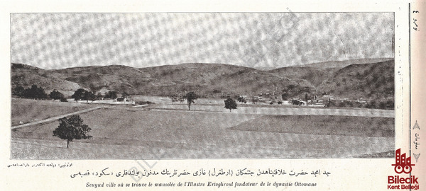 Söğüt Manzarası 